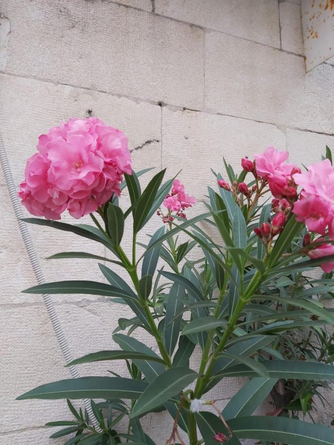 Mali Jadran